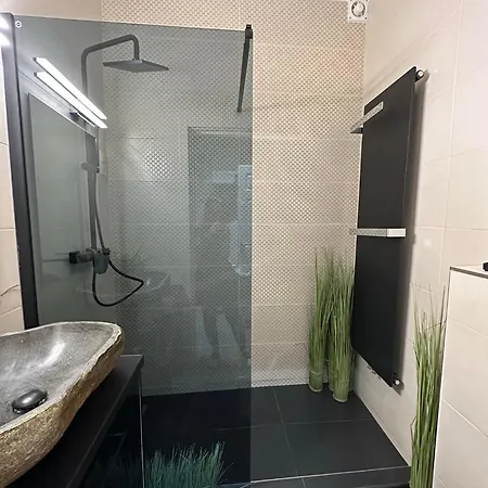 Gold Downtown Apartment Debrecen