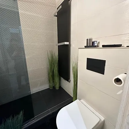 Apartament Gold Downtown Debreţin